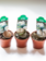 Lithops Living Stones 2"