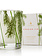 Thymes Votive Candle Pine Needle Design Frasier Fir