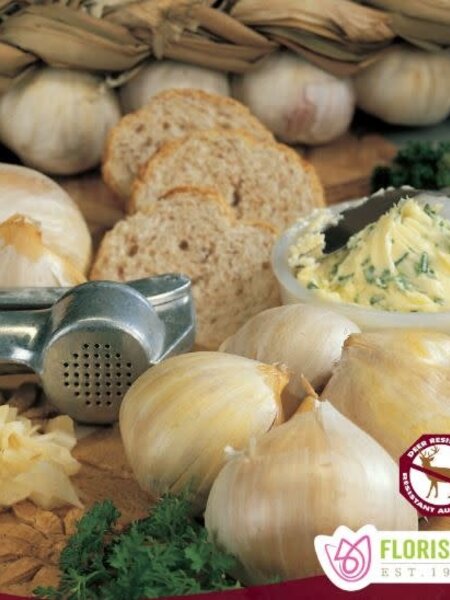 Garlic Elephant Tops