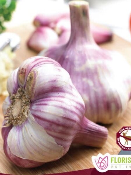 Garlic Metechi Tops