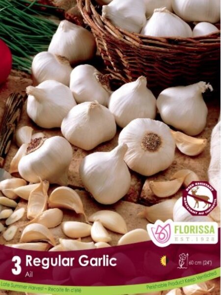 Florissa Garlic Regular