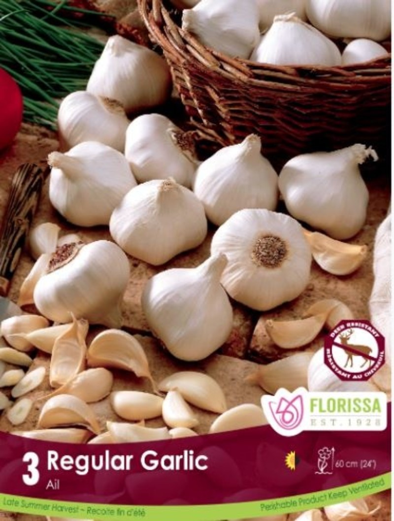 Florissa Garlic Regular