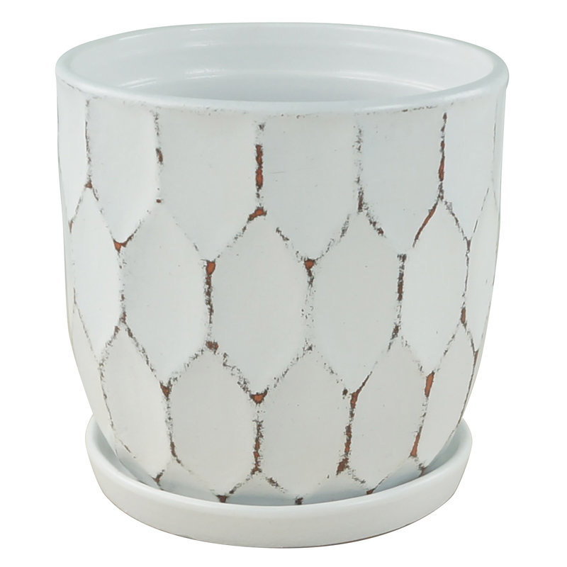Border Concepts Distressed Honeycomb Pot With Saucer