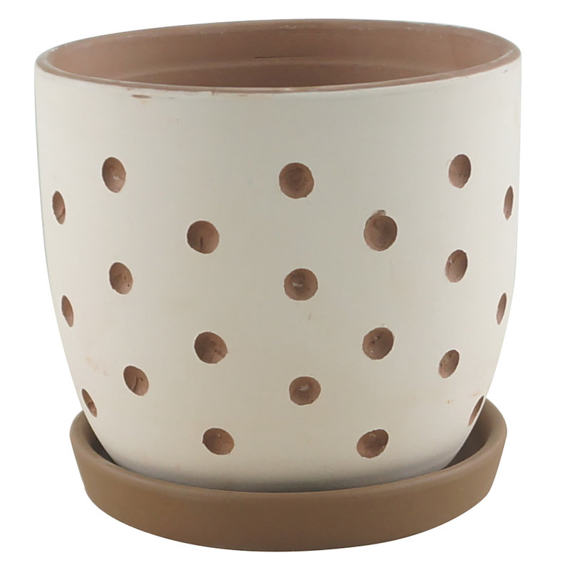 Hallie Dot Planter With Saucer