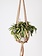 Primitive Planters All Natural Knotted Rope Hanger 36"