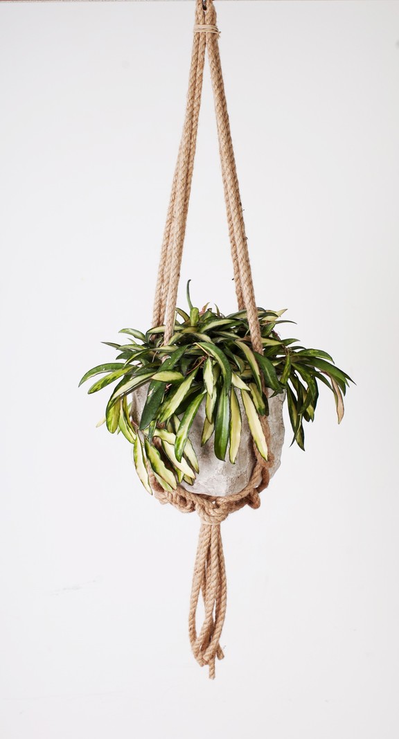 Primitive Planters All Natural Knotted Rope Hanger 36"