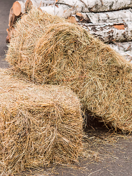 Straw Bale PRE-ORDER | Pick-up on Nov. 2
