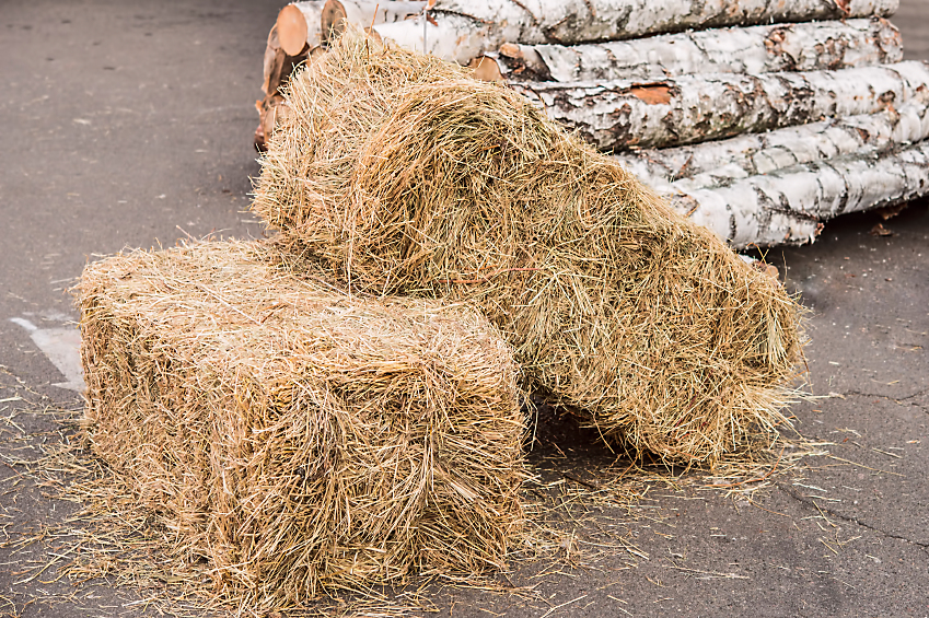 Straw Bale PRE-ORDER | Pick-up on Nov. 2