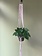 Primitive Planters Macrame Plant Hammock