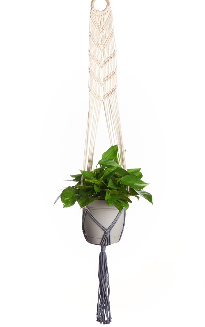 Primitive Planters Macrame Plant Hammock