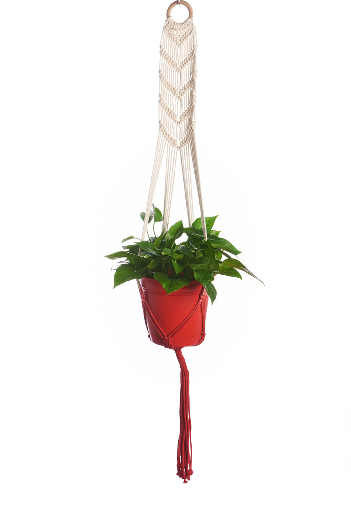 Primitive Planters Macrame Plant Hammock