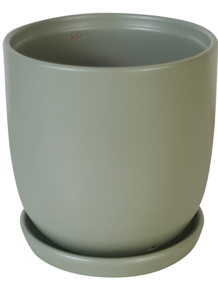 Chatham Egg Pot With Saucer