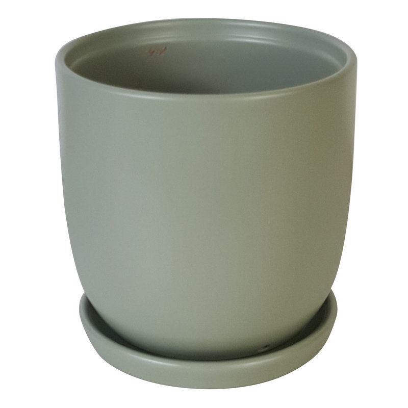 Chatham Egg Pot With Saucer