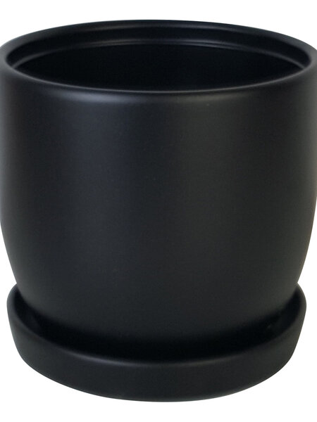 Chatham Egg Pot With Saucer