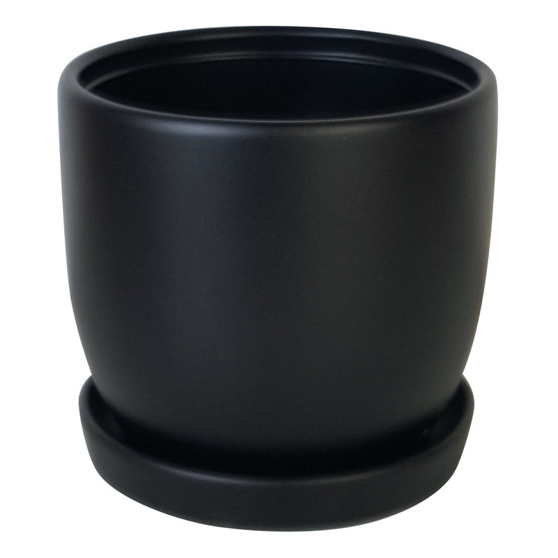 Chatham Egg Pot With Saucer