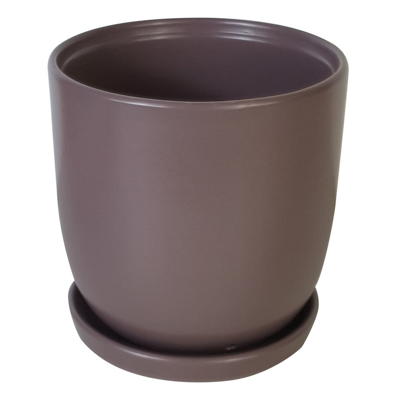 Chatham Egg Pot With Saucer
