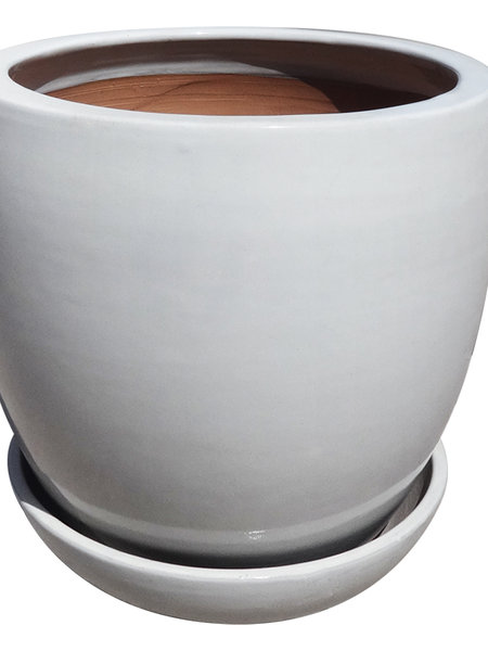 Dutch Growers Mont Blanc Hamilton Planter