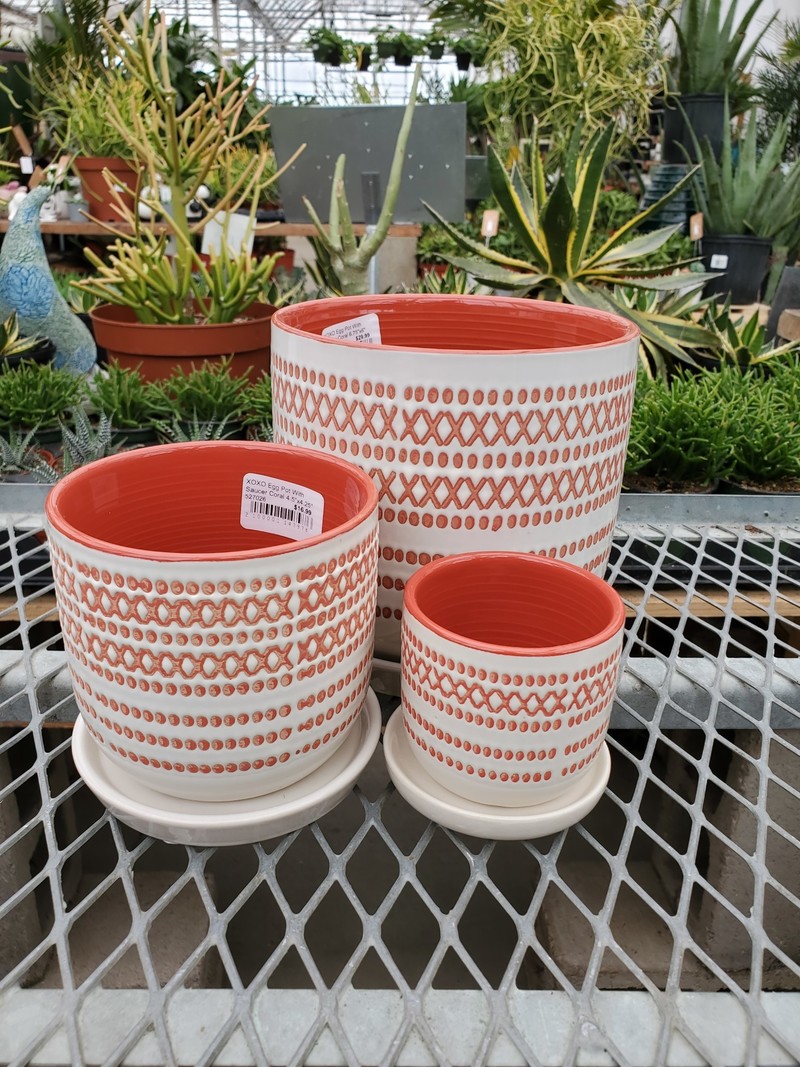XOXO Egg Pot With Saucer