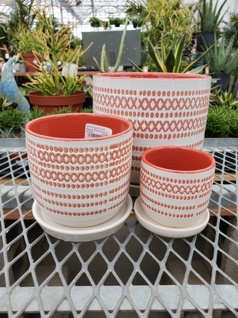 XOXO Egg Pot With Saucer