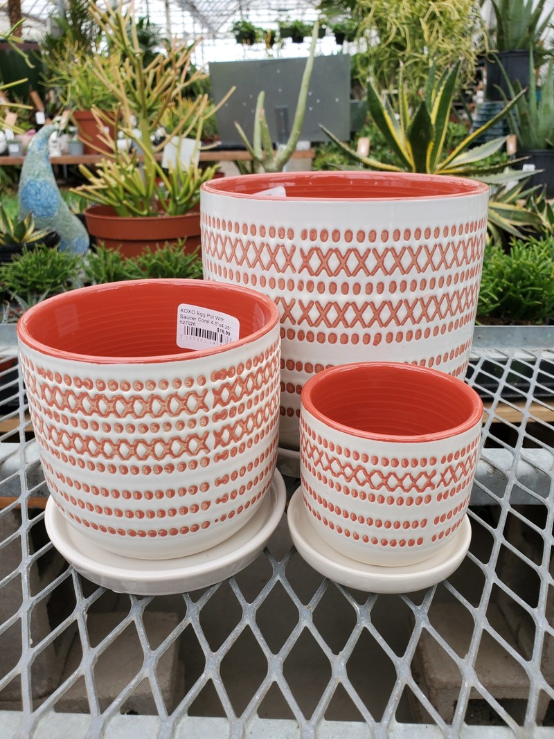 XOXO Egg Pot With Saucer