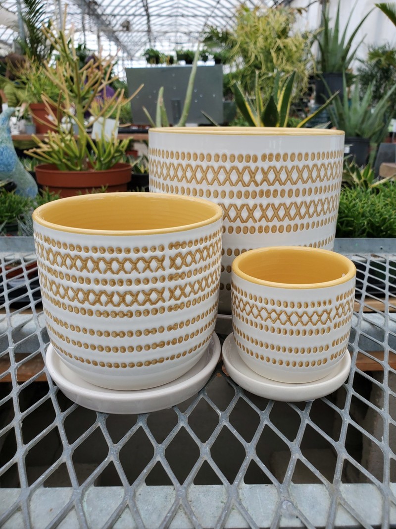 XOXO Egg Pot With Saucer