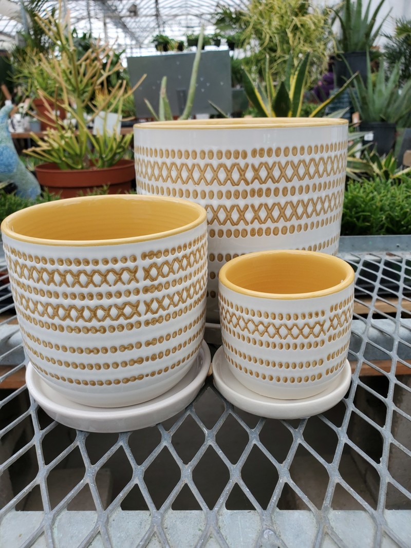 XOXO Egg Pot With Saucer