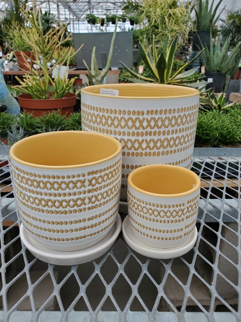 XOXO Egg Pot With Saucer
