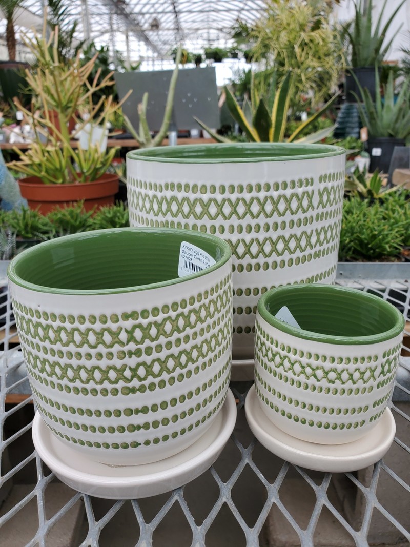 XOXO Egg Pot With Saucer