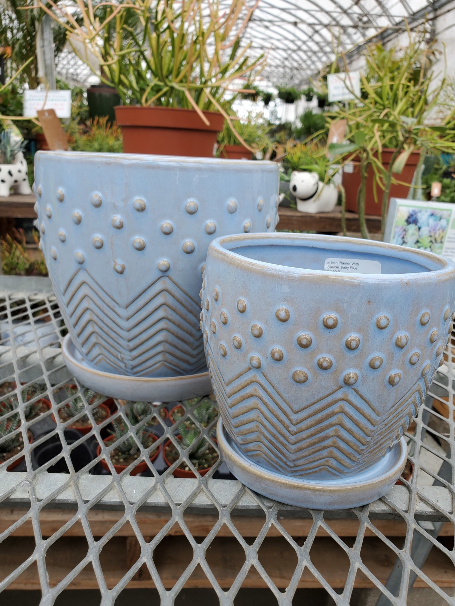 Milton Planter With Saucer