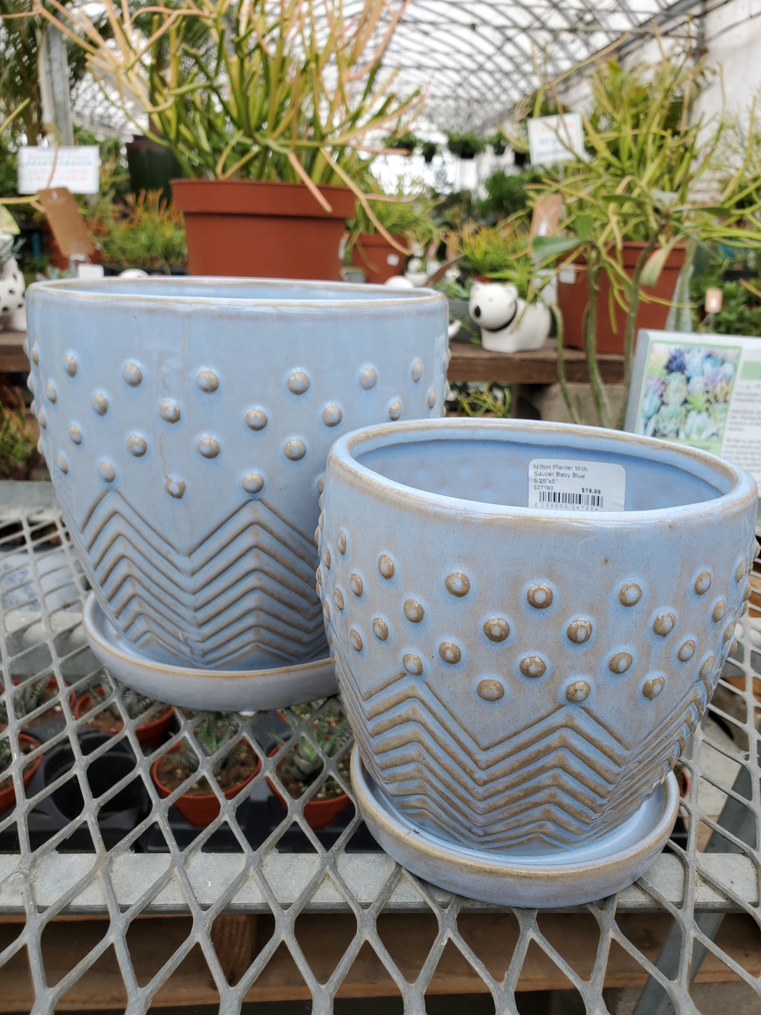 Milton Planter With Saucer