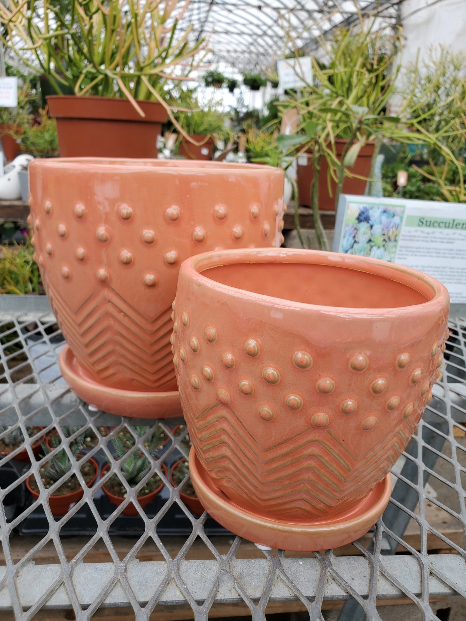 Milton Planter With Saucer