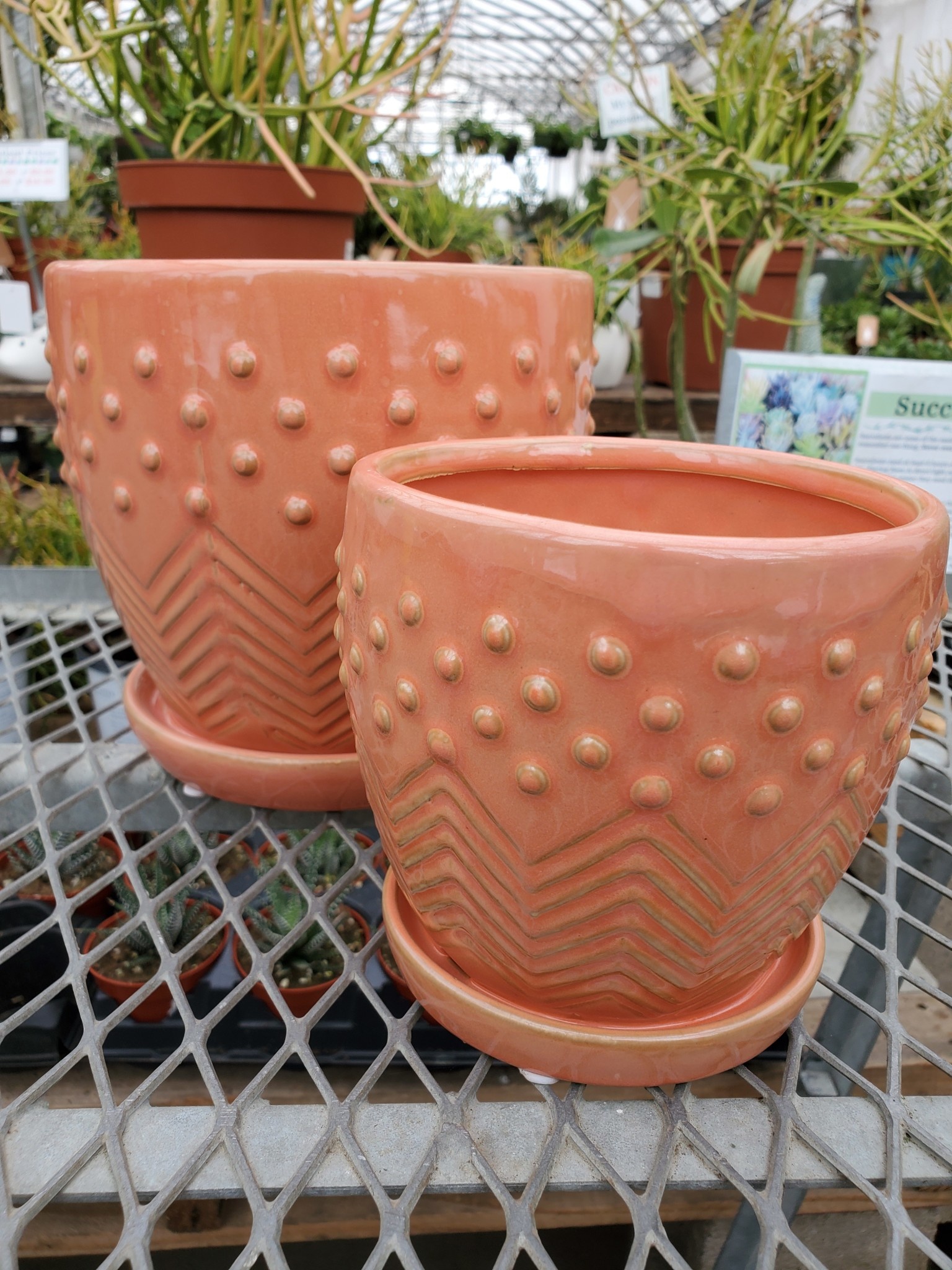 Milton Planter With Saucer