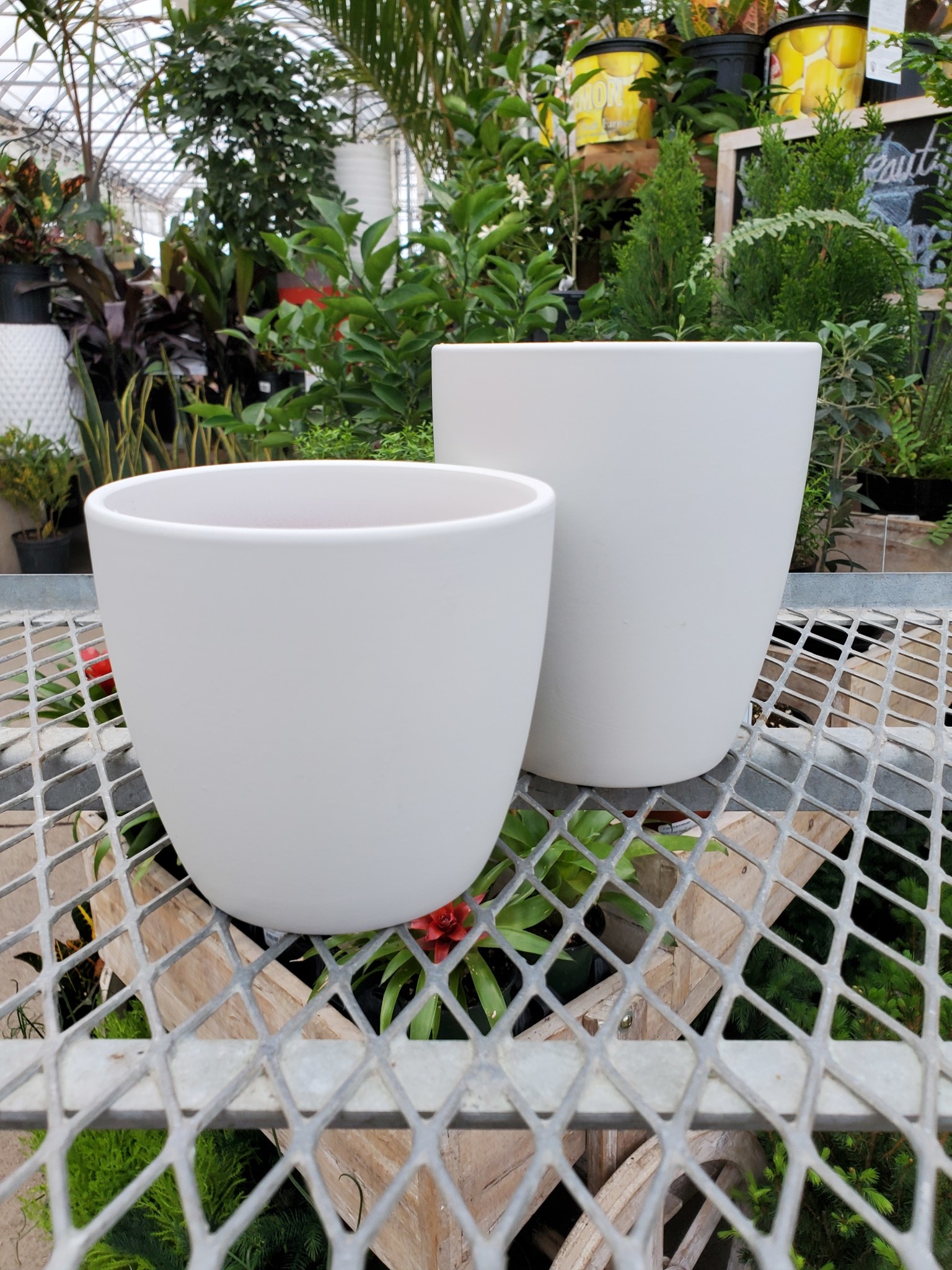 Smooth Finish Ceramic Pot