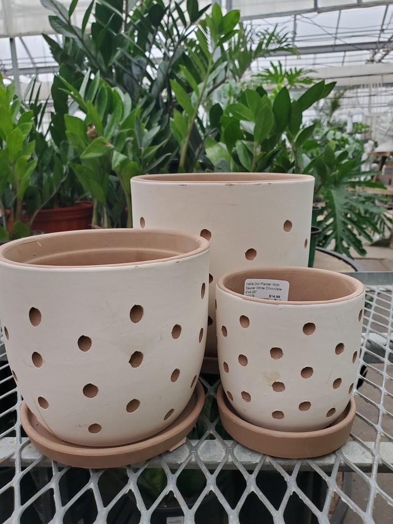 Hallie Dot Planter With Saucer
