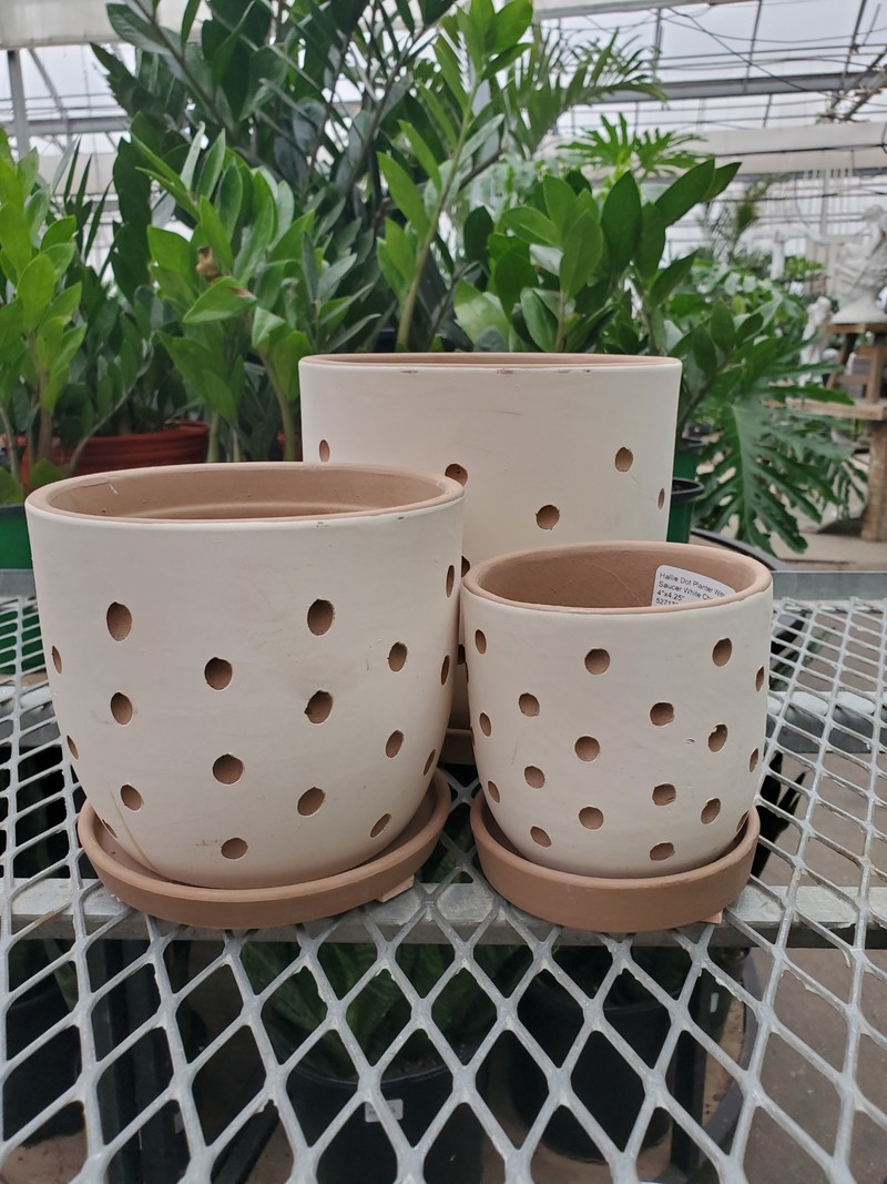 Hallie Dot Planter With Saucer