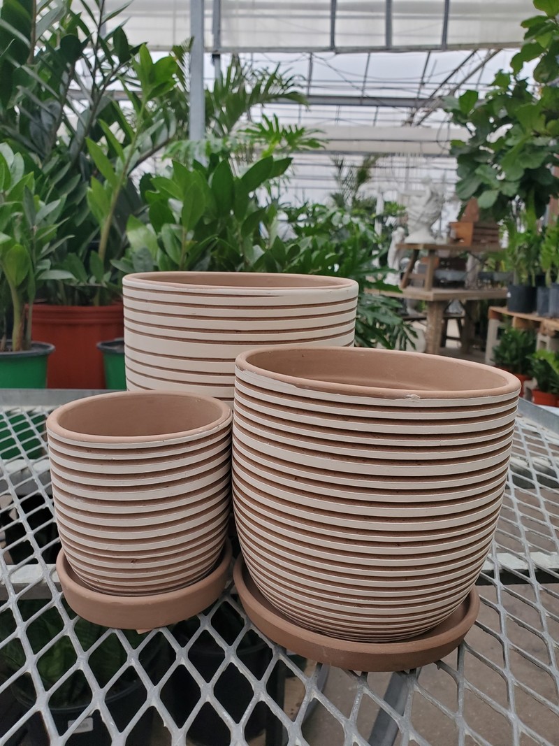 Dutch Growers Hallie Swirl Planter With Saucer