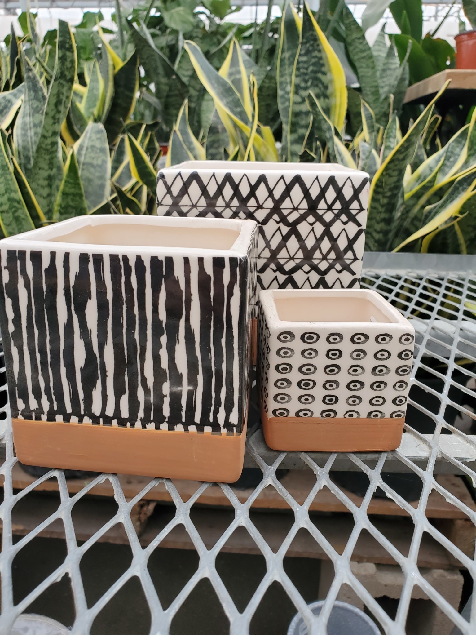 Dolomite Square Planter Black and White