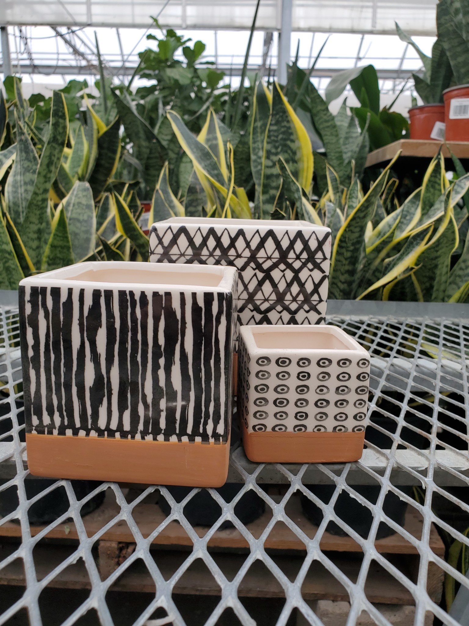 Dolomite Square Planter Black and White