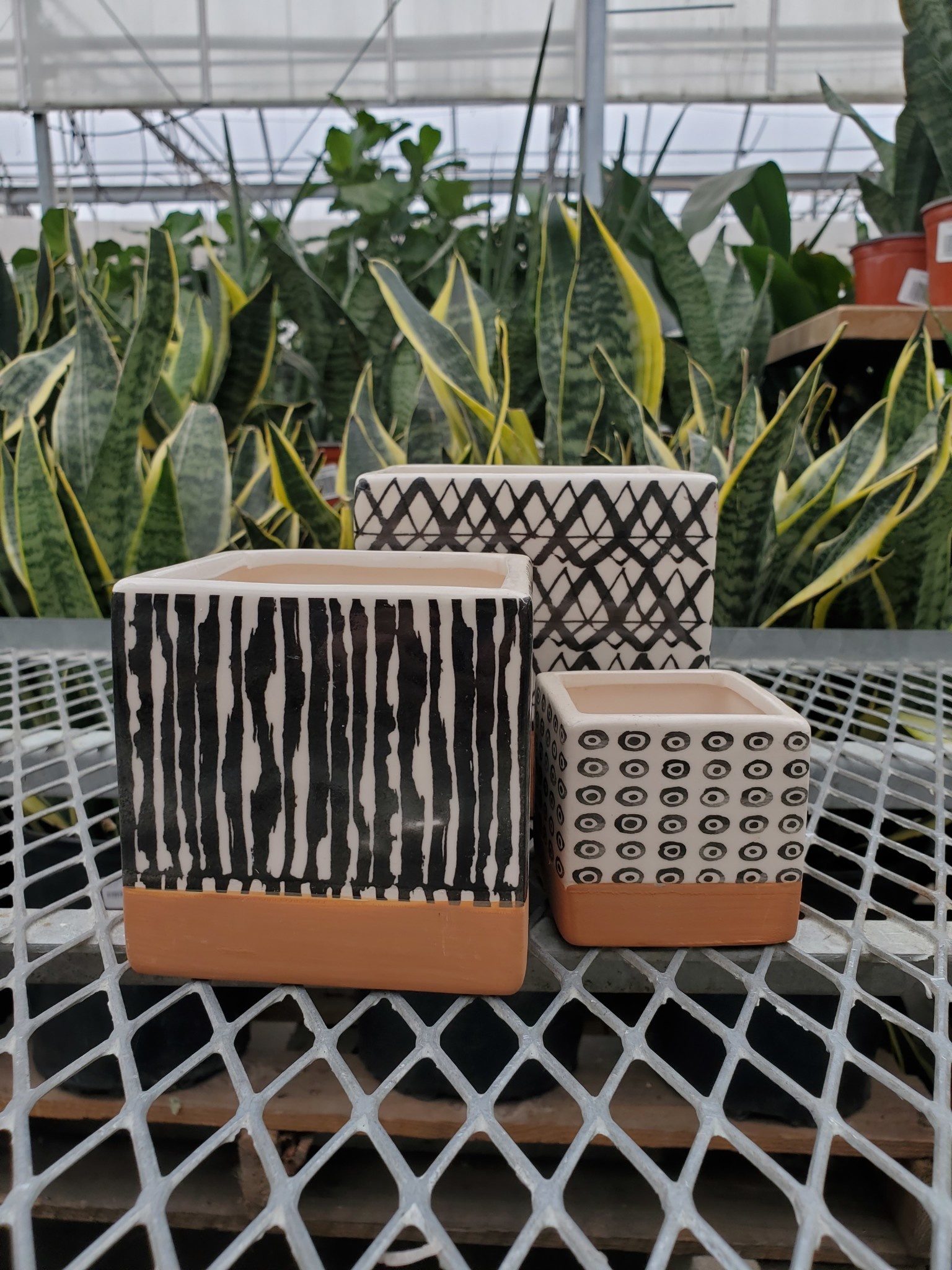 Dolomite Square Planter Black and White