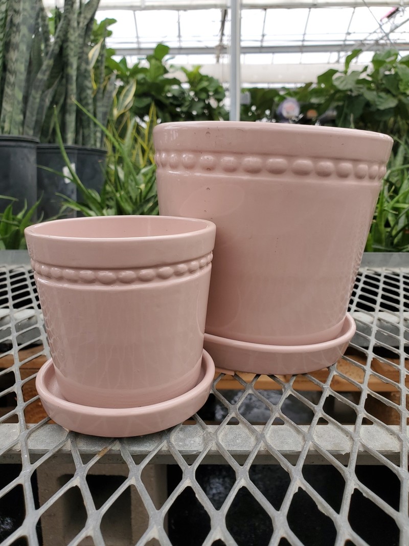 Charlotte Planter With Saucer
