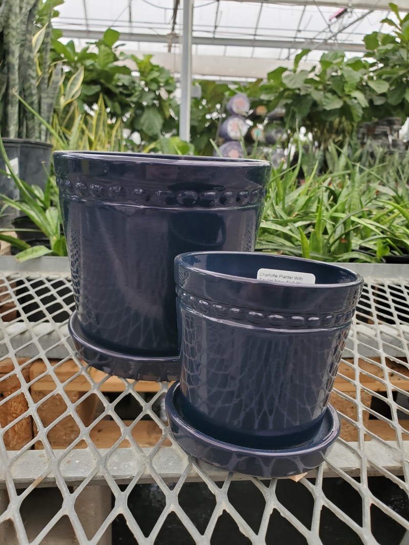 Charlotte Planter With Saucer