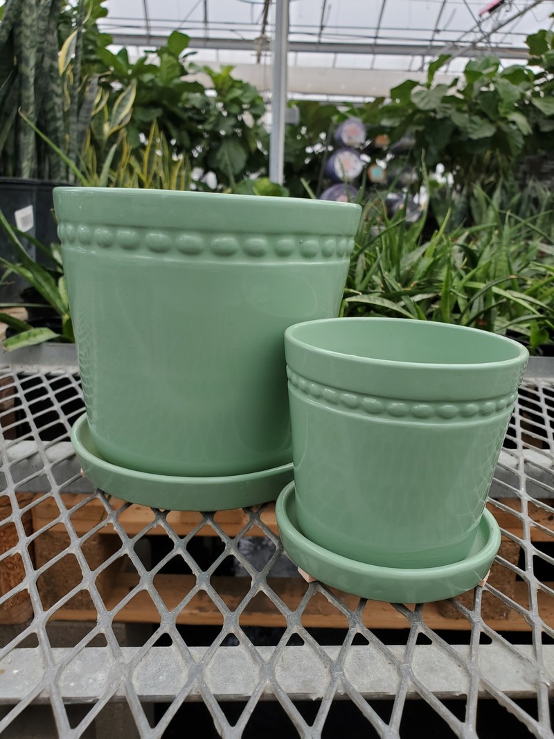 Dutch Growers Charlotte Planter With Saucer