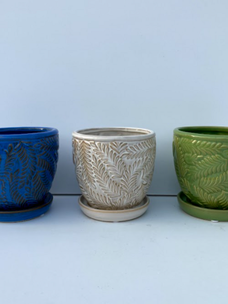 Beach Fern Planter With Saucer