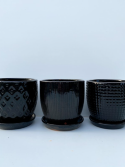 Deco Egg Pot With Saucer Ebony