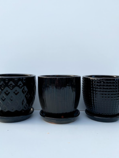 Deco Egg Pot With Saucer Ebony