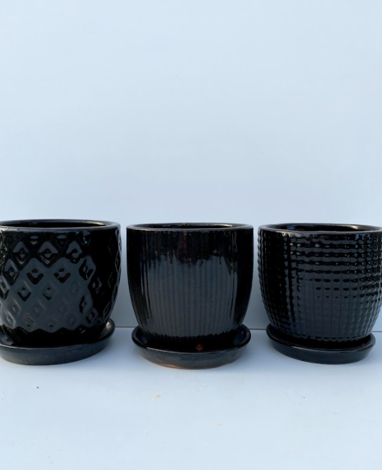 Deco Egg Pot With Saucer Ebony