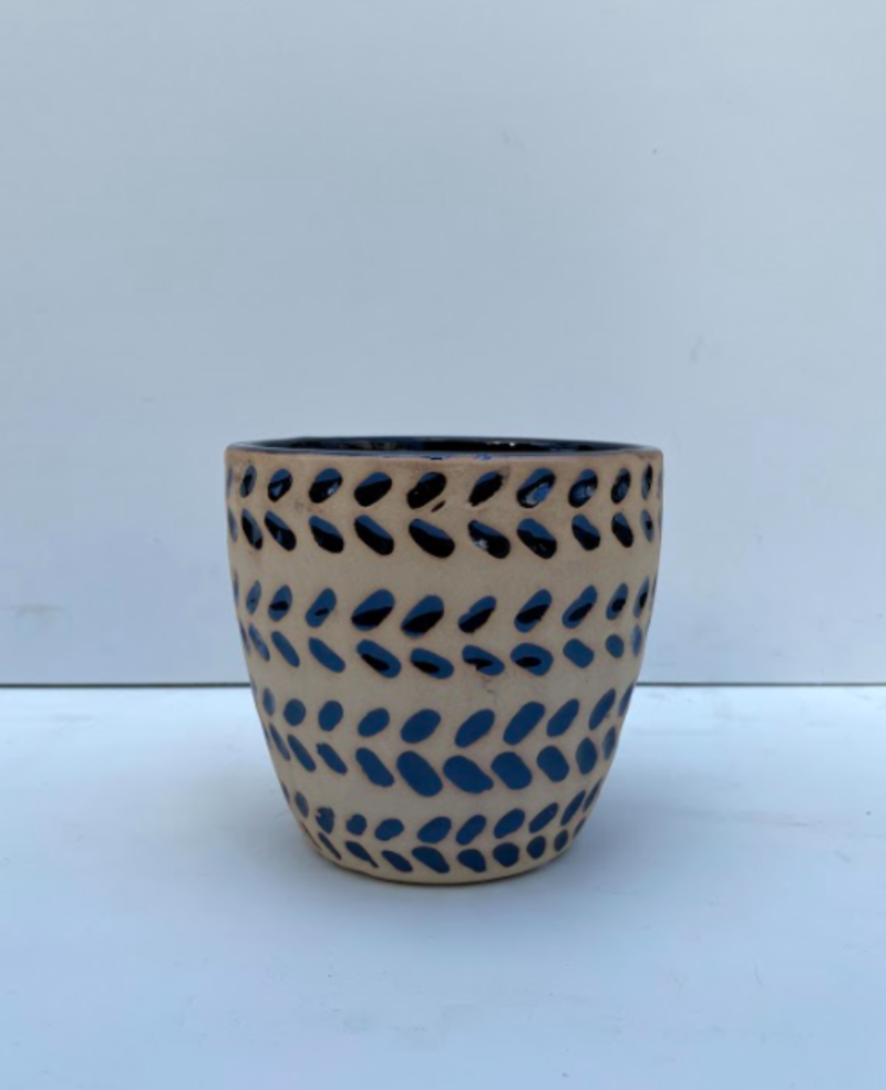 Cosmos Egg Pot Eclipse
