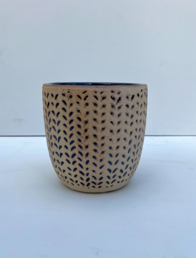 Cosmos Egg Pot Eclipse