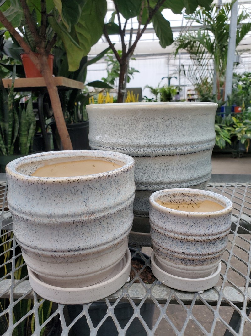 Morrocroft Egg Pot With Saucer