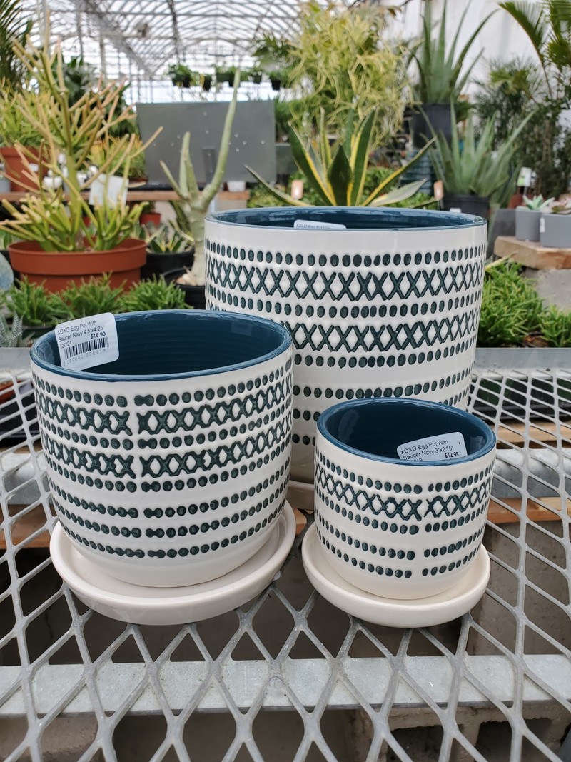 XOXO Egg Pot With Saucer